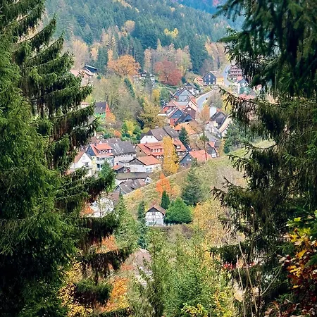 아파트 Sheamus Lautenthal Im Harz
