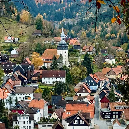 Sheamus Lautenthal Im Harz Apartment Langelsheim